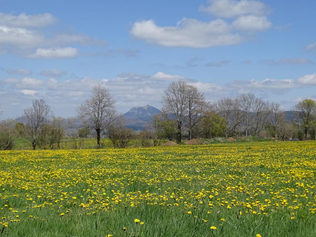 Logis Las Crozas La Poupe Vernines ภายนอก รูปภาพ