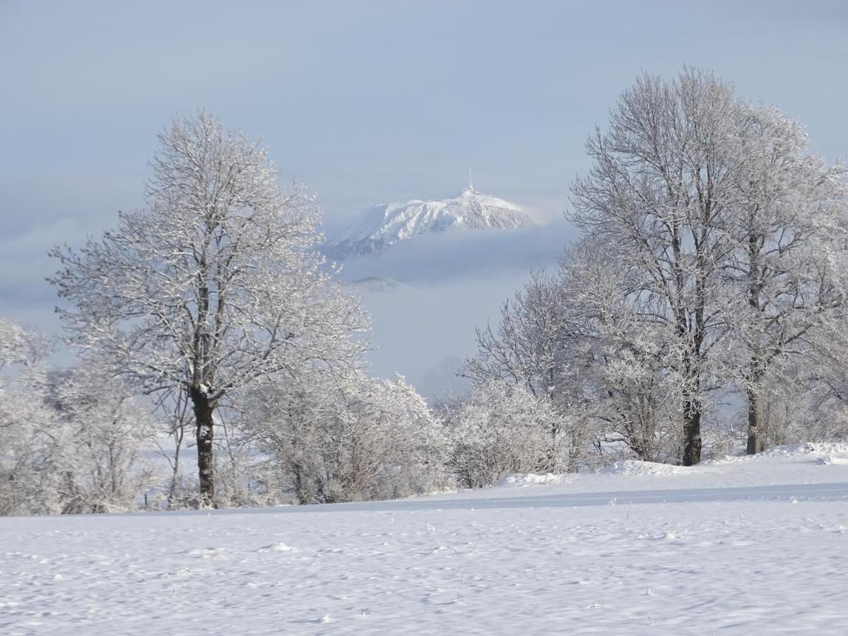 Logis Las Crozas La Poupe Vernines ภายนอก รูปภาพ